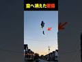 空へ消えた愛猫…森で待っていたのは、まさかの存在でした #shorts #猫の奇跡 #愛猫