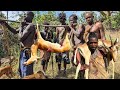Incredible how hadzabe tribe hunt to survive in the wild