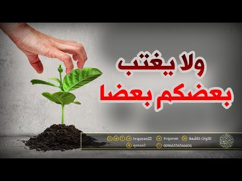 ولا يغتب بعضكم بعضا تلاوة مؤثرة 