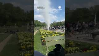 Dust Devil Steals Jackets From Spring Square In Paris