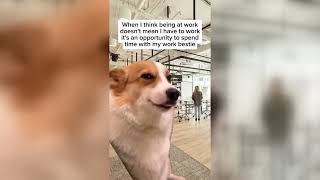 Work Memes To Watch Instead Of Working 🫠
