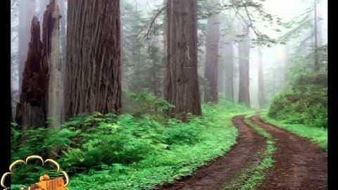 027 Mishary Rashid Al Efasi 01 From 02 سورة النمل