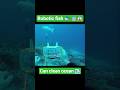 "Scientists Created a Fish That Cleans Plastic From Water!