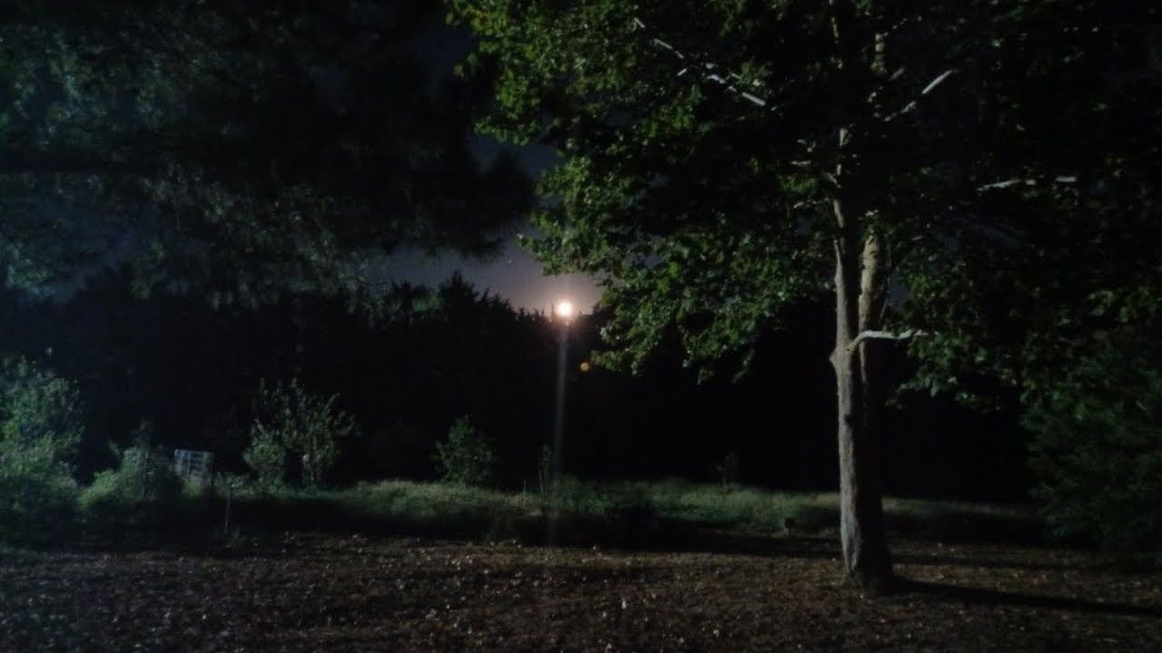 A CRIATURA QUE PEDIA AGUA NA CAATINGA