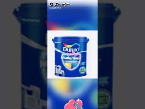 Video: Inilunsad Ng Dulux Ang Programa Sa Suporta Para Sa Mga Pintor At Taga-disenyo