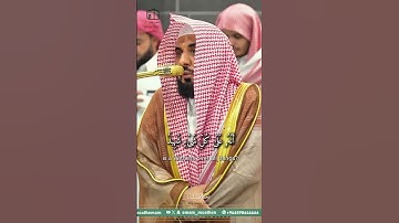 سورة  فصلت، تلاوة قوية | الشيخ عبدالله الجهني