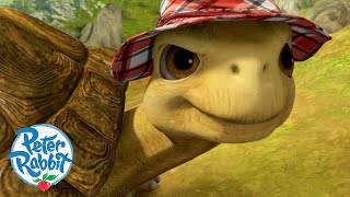  - Meet Mr Tolly The Tortoise Meet The Characters Cartoons For Kids