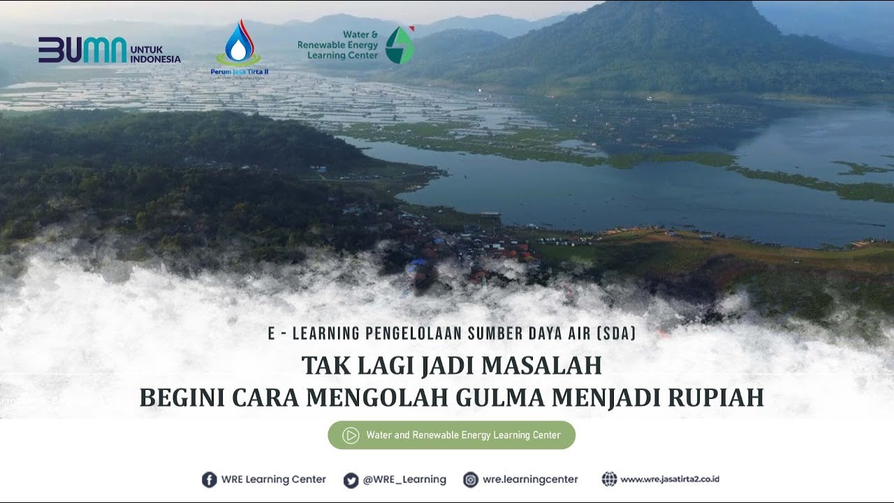 TAK LAGI JADI MASALAH. BEGINI CARA MENGOLAH GULMA MENJADI RUPIAH