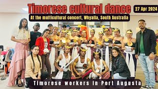 Tarian budaya Timor 'INALOU' di Whyalla Australia Selatan 🇹🇱ƒ🇮❤️😇🙏@faustavlog23