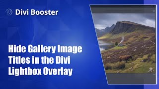 Hide Gallery Image Titles in the Divi Lightbox Overlay