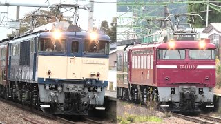 【JR東日本EF64、EF81】さらば営業運転ラストラン ありがとうEL号が運行【2025年11月24日】