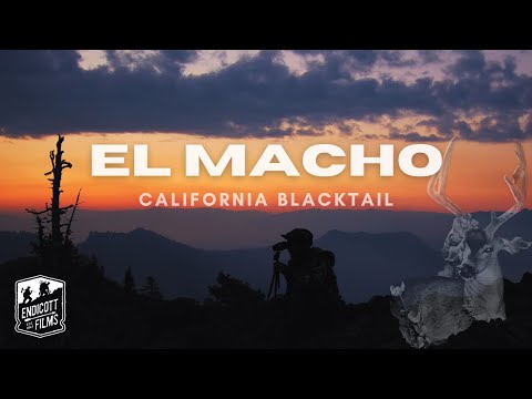 El Macho California Blacktail OTC Archery 