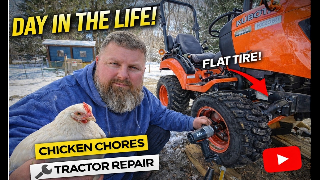 Один день из жизни на моем фермерском хозяйстве | Работа с курами и ремонт проколотой шины тракто...