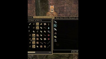 Morrowind MMO - Bags..if you
