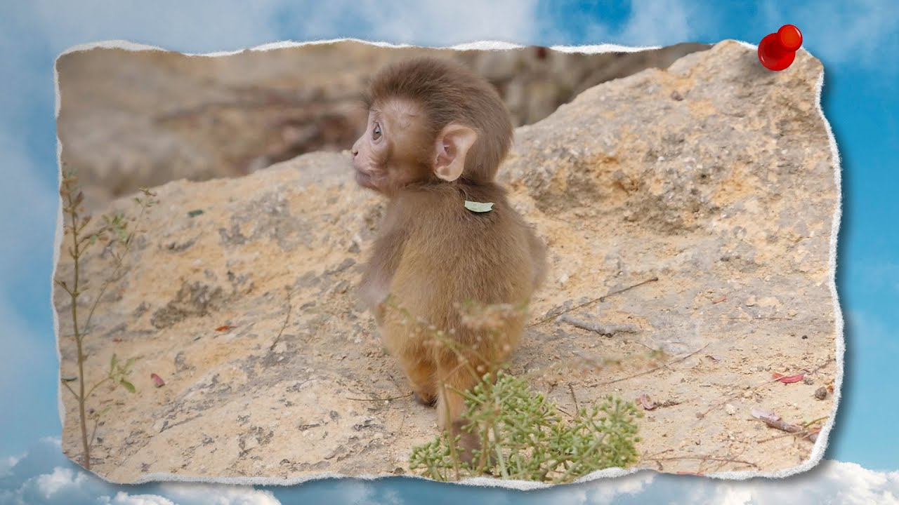 When Teeny was tiny and skinny 😍