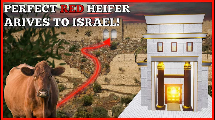 We are ready to build the THIRD TEMPLE!