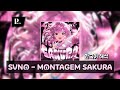 봄을 담은 일본 펑크 SVNO MONTAGEM SAKURA 한국어 가사 해석 봄을 담은 일본 펑크 SVNO MONTAGEM SAKURA 한국어 가사 해석