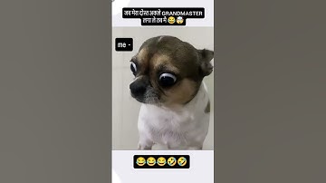 Trying not to laugh! 🤣🤣 (4k memes) #shorts.  click the blue Join button to support my animations
