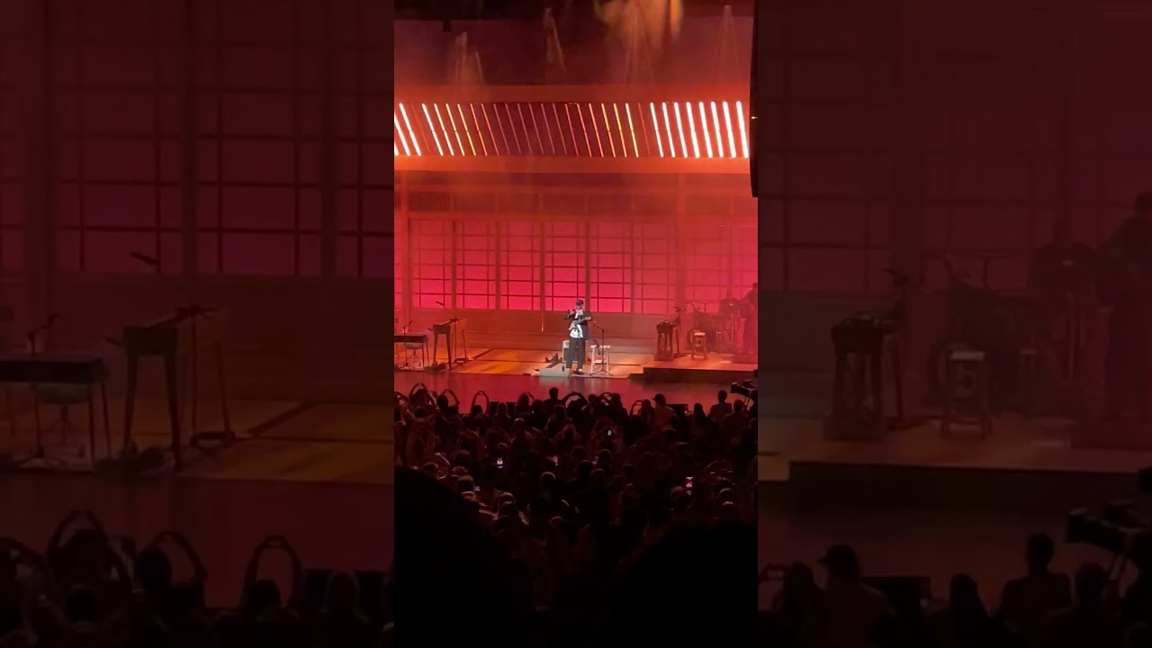 Sunflower Rex Orange County Chicago Auditorium 2024