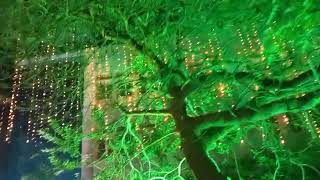 creative lighting at Smart Odisha hackathon 2022