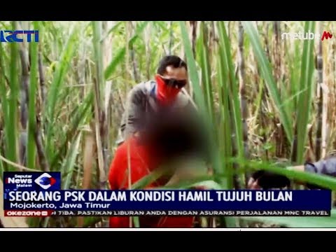 Razia hingga ke Kebun Tebu, PSK Hamil 7 Bulan Diamankan Petugas - SIM 19/06