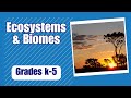 Ecosystems and Biomes | Kids Learn About Ecosystems and Biomes | Real World Science Videos