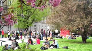 Cherry Blossom Festival "Hanami" in Prague, Czech Republic.