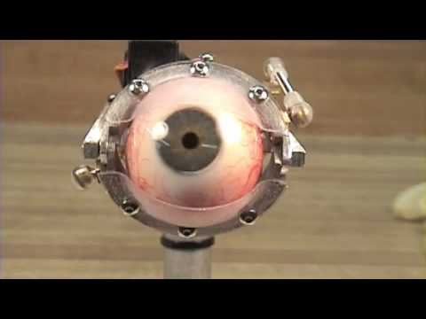 Animatronic Eye Mechanism-Human Eye
