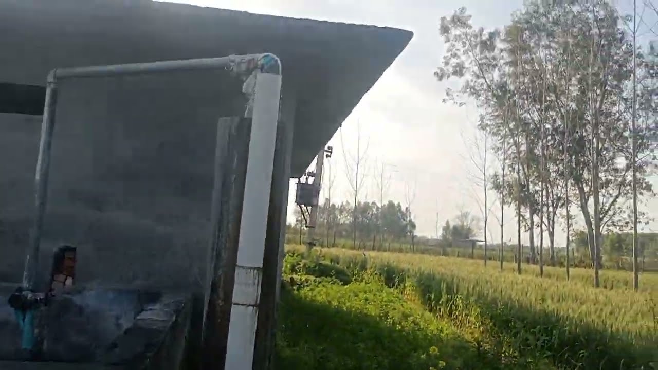 5.5  kila land for sale in Hoshiarpur Punjab India@ 15 Lakh per Acre