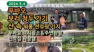 푸바오 보러 혼자 워롱 션슈핑 기지 가기 2편. 산골짜기 션슈핑 기지 과연 푸바오가 살기에 좋은 환경? 푸바오 격리장소, 워롱 중화 판다원 위치, 강바오님 묵었던 민박집 사장님만남