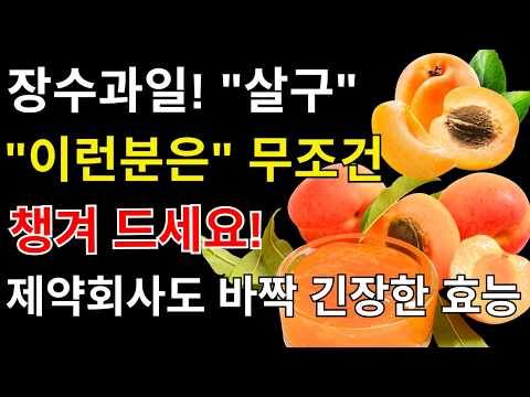 [건강정보] 건강음식 | 살구와 바나나, 50세 이후 꼭 먹어야 하는 이유! 함께 먹으면 좋은 음식 3가지 & 절대 피해야 할 조합