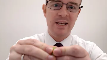 Are lotus seeds edible?