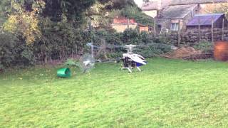 Trex 600E maiden