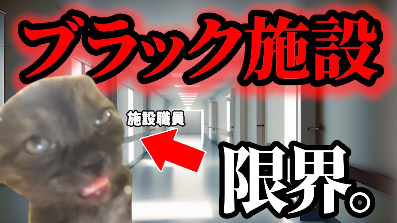 ブラック施設の1日【障がい者施設】＃猫ミーム