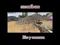 CAMPEROS PARTE 1 | COD MOBILE | #codmobile #cod #shorts