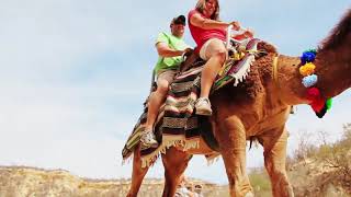 Canyon Camel Quest Riding Tour