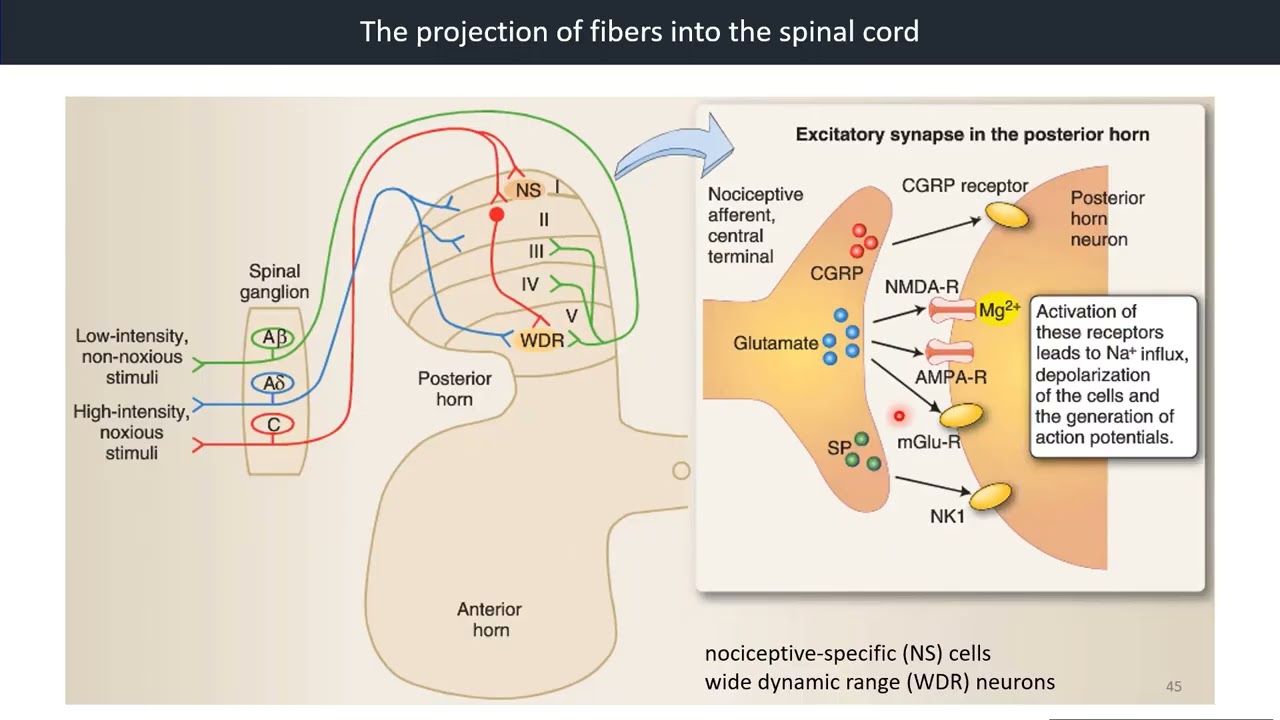 youtube-video-thumbnail