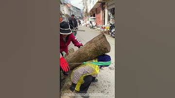 Carry Heavy Log with a Rope - and - Strap Tool