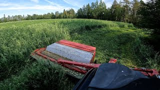 Cutting silage 2023