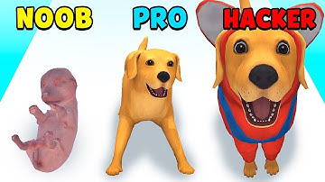 Dog Life Simulator #5 - NOOB vs PRO vs HACKER – Hit games