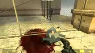 HL2 Weapons Skins