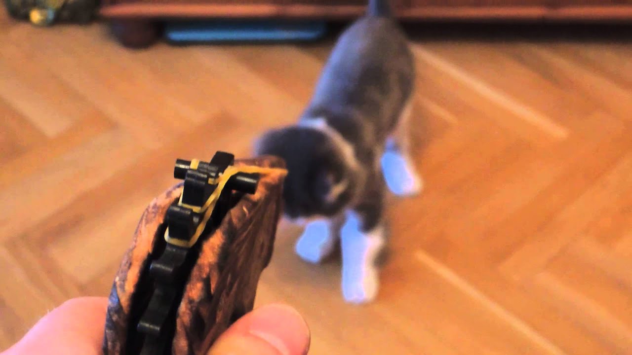 Пистолет - YouTube