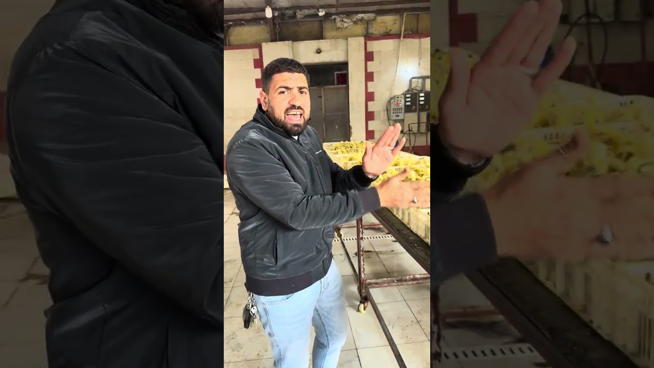 ١٦ فبراير، ٢٠٢٦