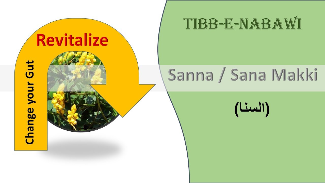 Sana Makki Senna Leaves Most Effective Constipation Medicine Tibb sana-makki-senna-leaves-most-effective-constipation-medicine-tibb