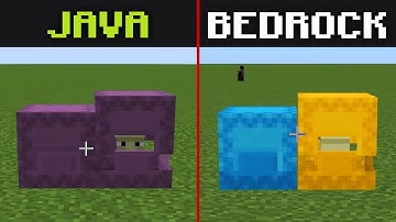 Minecraft Java vs Bedrock - Shulker