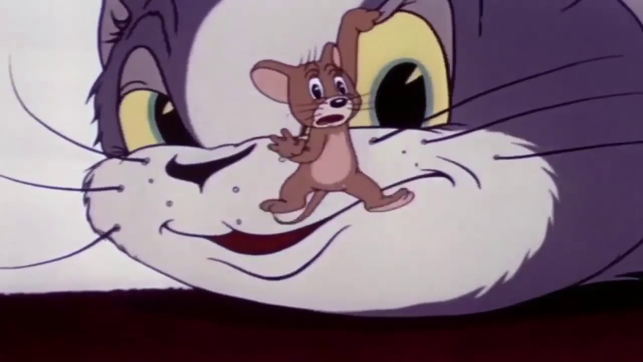 How Many Tom And Jerry Episodes Adjuja