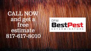 Best Moth Control in Euless Tx | 817-617-8010 | FREE ESTIMATES