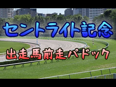 【競馬パドック】セントライト記念(2020年）前走パドック
