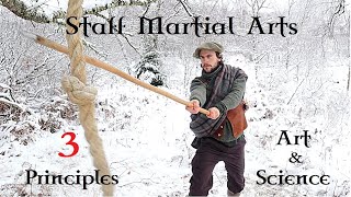How to Swing a Stick PERFECTLY? - The Art & Science of Weaponry - STAFF Martial Arts screenshot 5