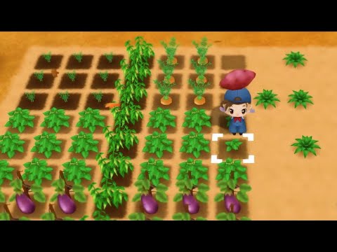 Story of Seasons Friends of Mineral Town PS4 and Xbox One Gameplay Trailer Story of Seasons Friends of Mineral Town PS4 and Xbox One Gameplay Trailer